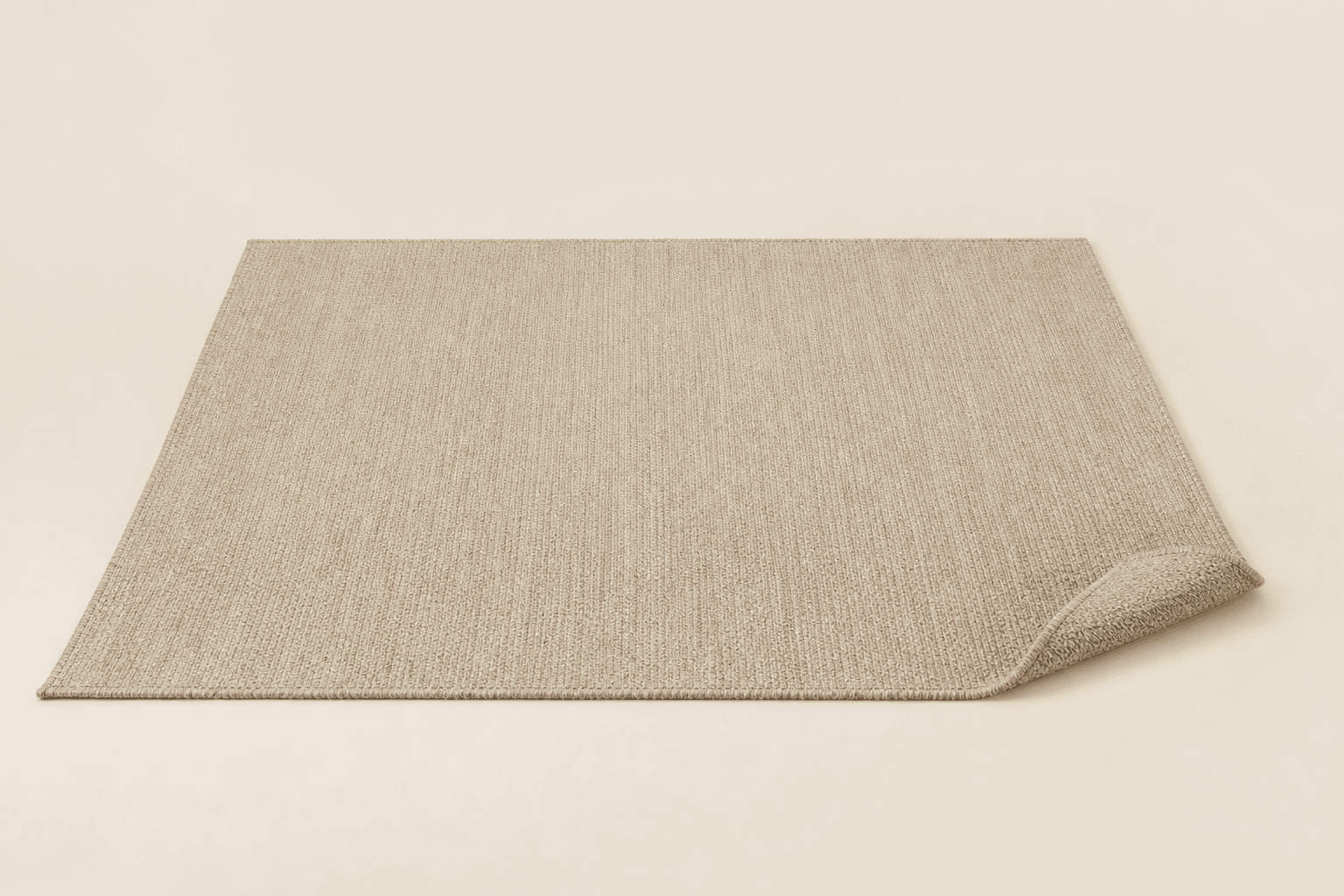 Large neutral area rug on a cream background